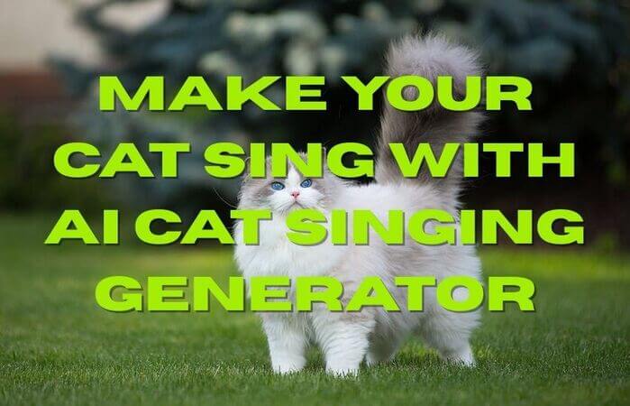ai cat singing generator