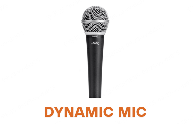 dynamic mic