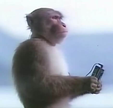 monkey listening to walkman