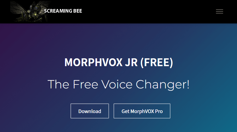 morphvox junior