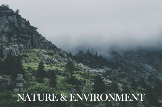 nature and environment