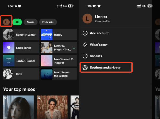 select settings and privacy