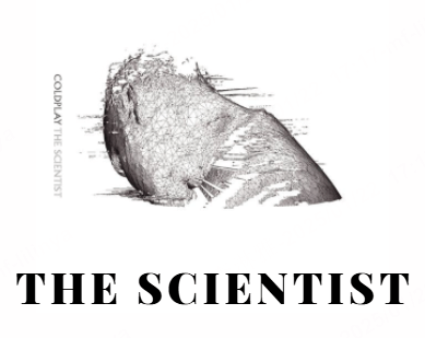 the scientist 