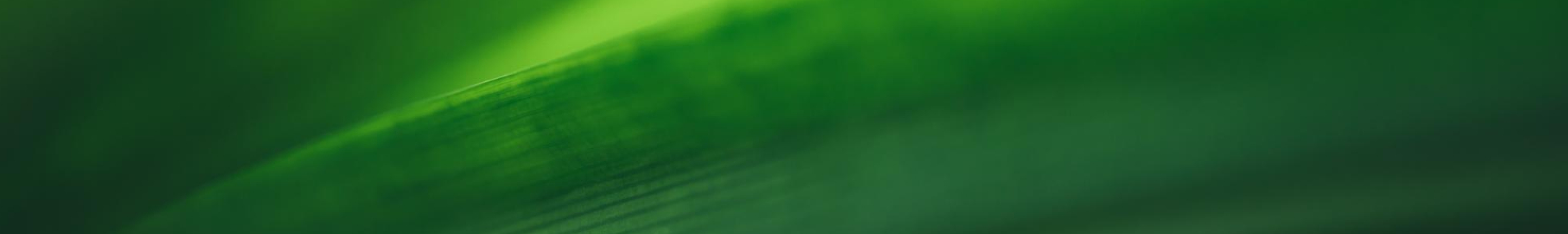 Enjoy Up to 55% This Easter